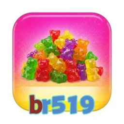 br519